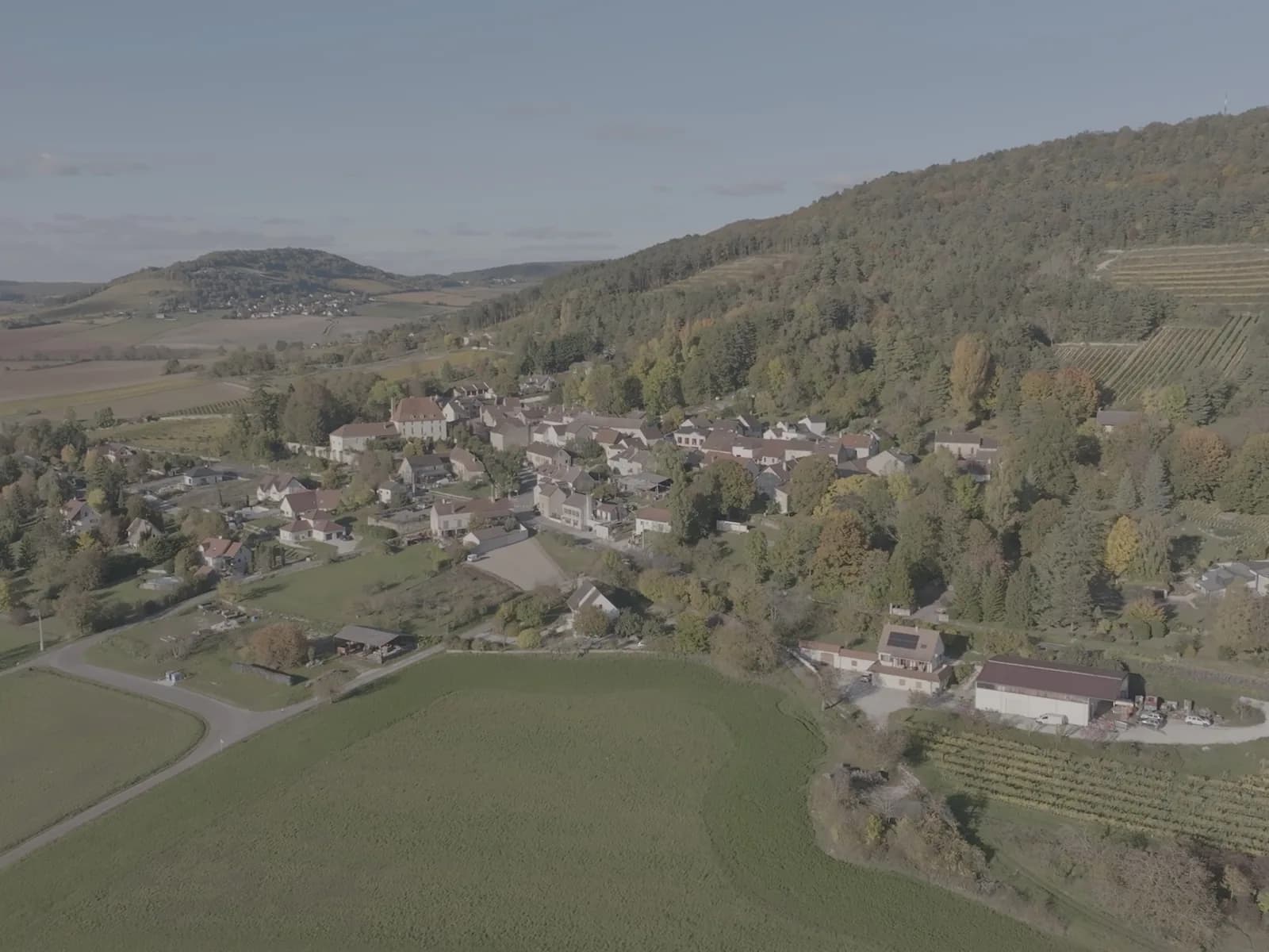 Site internet du Domaine Arnaut Boué